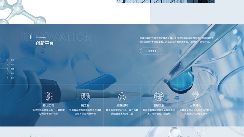揭秘ELISA试剂盒：品牌排名背后的技术考量