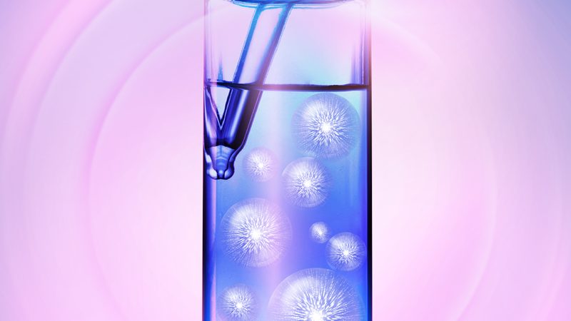 饲料用耐高温酶：如何选择合适的型号？**