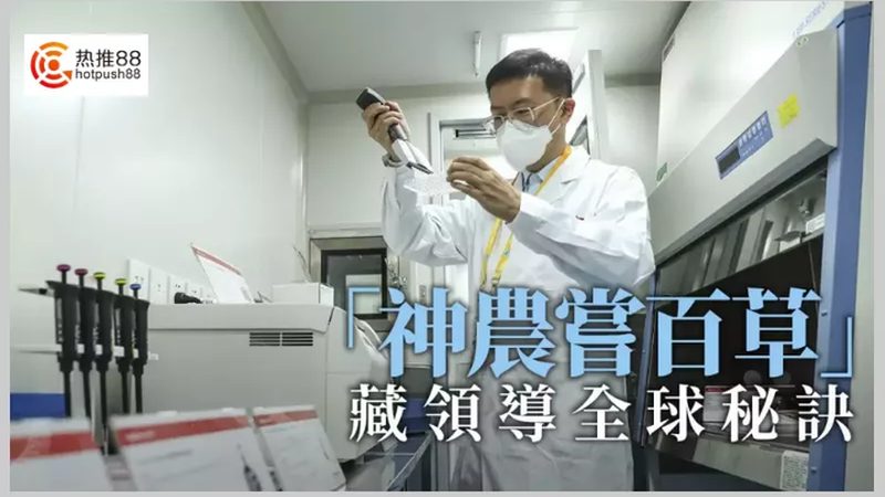 宠物PCR检测：揭秘结果出炉的秘密