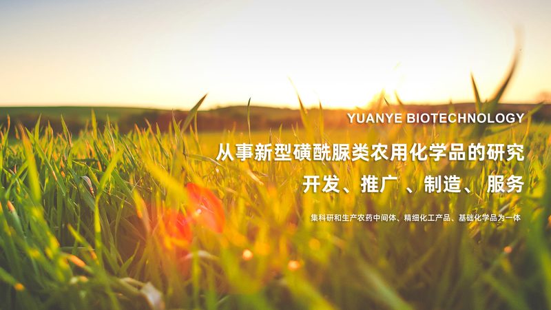 干细胞培养基保存，这些要点你掌握了吗？**