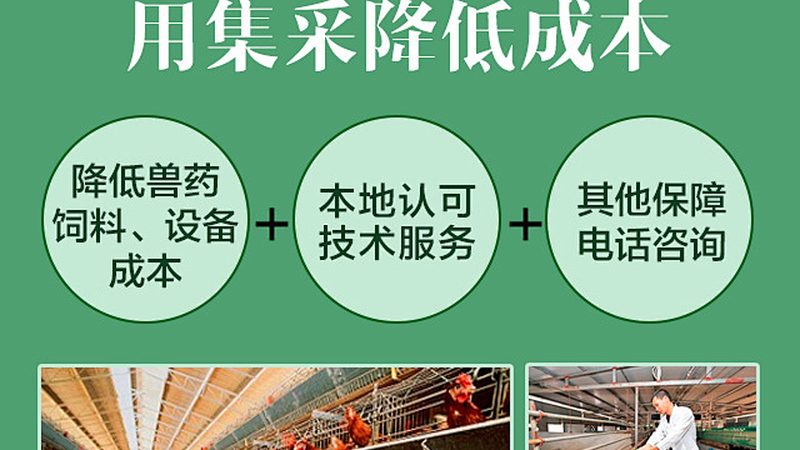 广州生物医药外包人才厂家：揭秘生物医药外包的幕后英雄**