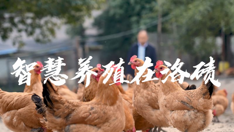 生物医药定制研发材质分类解析：关键要素与选择要点**