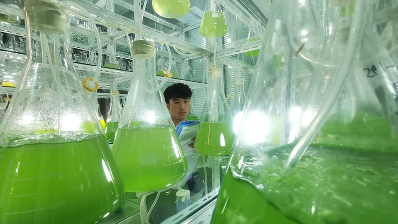离心管在生物科技领域的应用与选择要点**